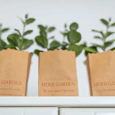 Tante Friese דירה